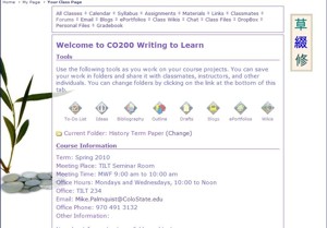Example of Customized Class Page