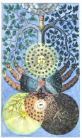 Tree of dark and light
