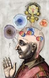 The Mind of the Microcosm